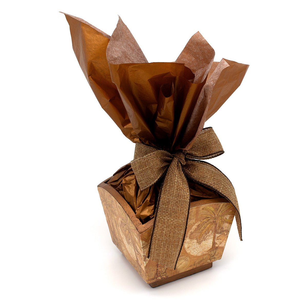 Chocosphere Tropic of Cacao Chocolate Assortment Gift Pot