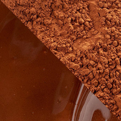 Cacao Barry Plein Arome Dutched Cocoa Powder - 5 kg