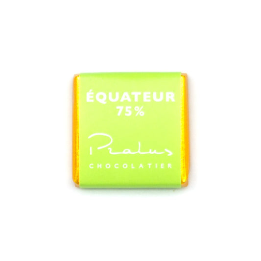 Pralus Equateur BIO 75% Single Origin Dark Chocolate Napolitains